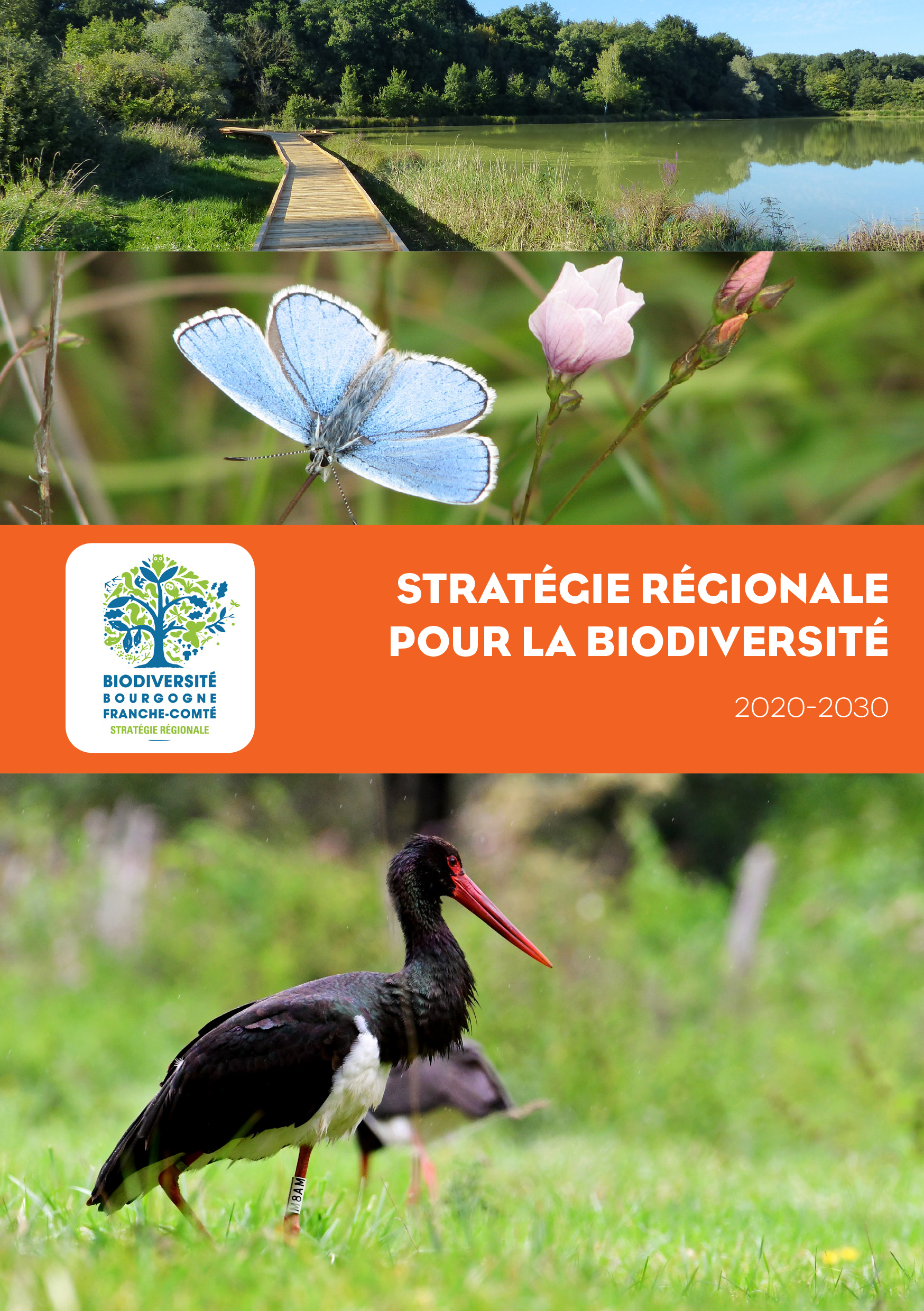 Stratégie régionale pour la biodiversité 2020-2030