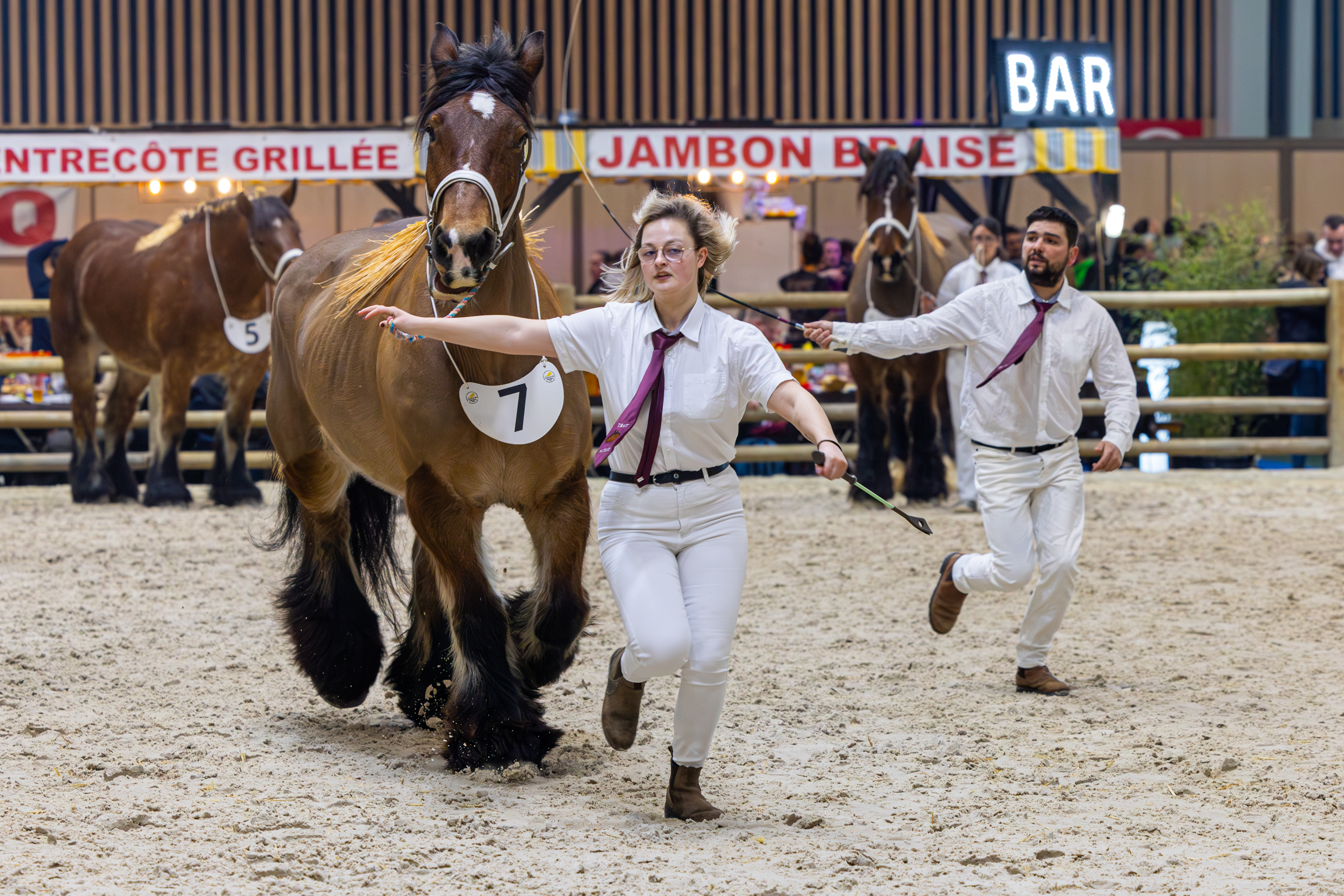 Pour la première fois, un cheval de Trait d’Auxois venu de Charente était en compétition sur le salon de l’agriculture. Photo : Xavier Ducordeaux.