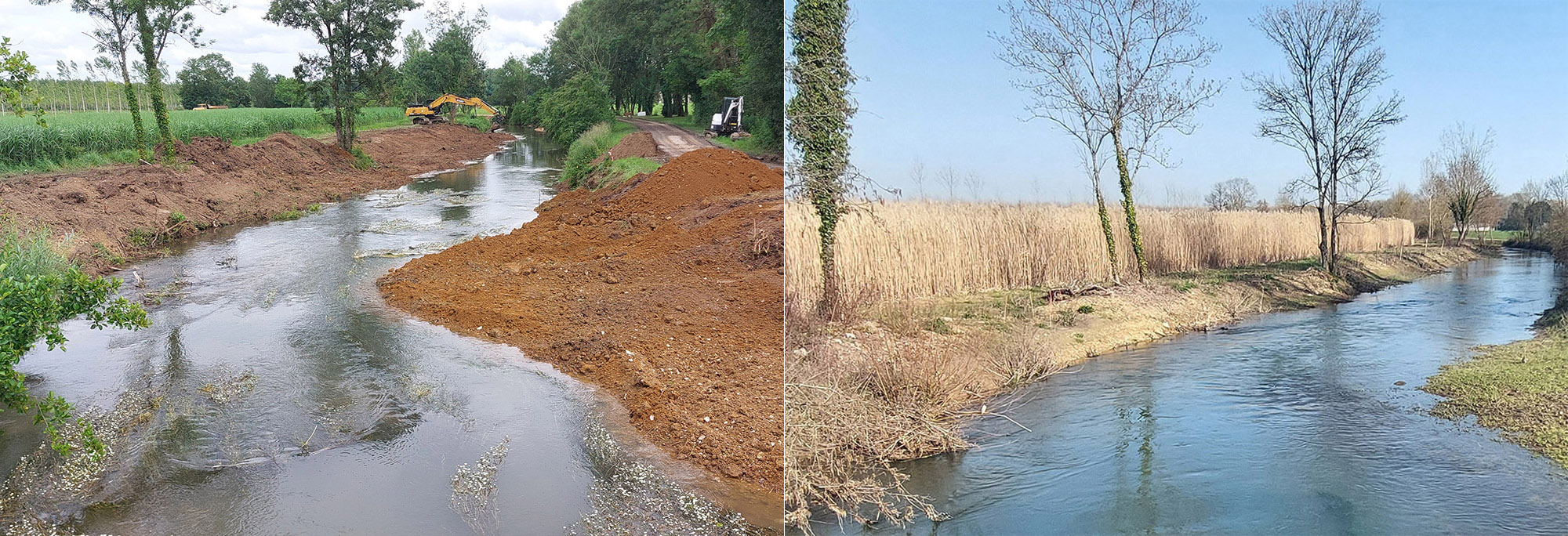 Des travaux ont eu lieu conduisant à la plantation de presque 1000 arbres et en préservant le castor. Crédit : SBV