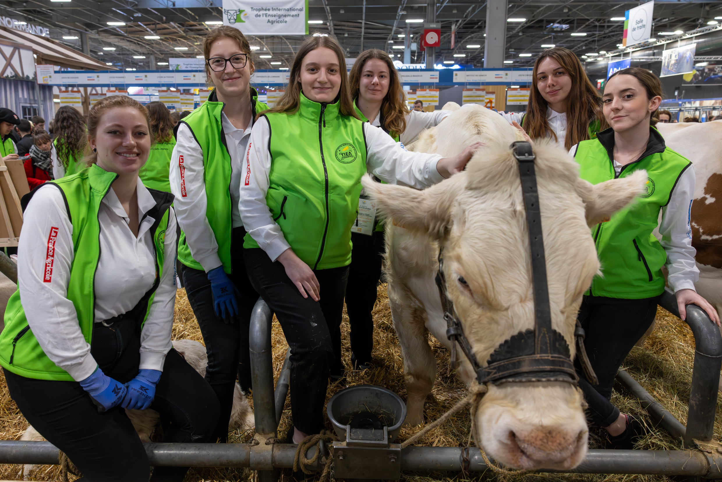 L’équipe 100 % féminine du lycée agricole de Challuy, avec sa vache charolaise Polka. Photo Xavier Ducordeaux