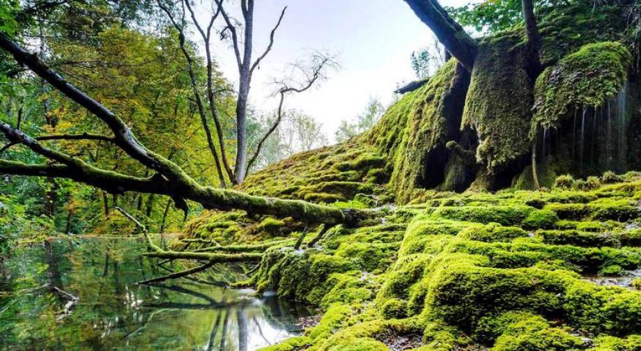 Parc national de forêts - Crédidit photo Franck Fouquet