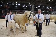 Princesse, accompagnée de son jeune veau a remporté le 5e prix dans sa catégorie rendant fier Hugues Pichard et sa famille établis à Montceau-les-Mines – Photo Océane Lavoustet