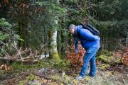 Cueillette des morilles dans le Haut-Doubs – Photo Emma Miskizak