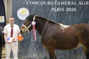 Muse de Posange, 2e du Concours général agricole 2026 des chevaux de trait - Photo Océane LAVOUSTET