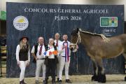 Palmarès du Concours général agricole 2026 des chevaux de trait - Photo Océane LAVOUSTET