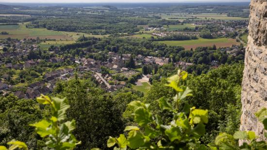 Point de vue du Château de Chalon - Phot David Cesbron