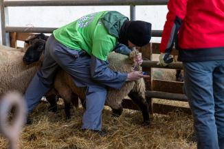 Noah Kaiser, vainqueur des Ovimpiades Franche-Comté 2025. Photo : Xavier Ducordeaux.