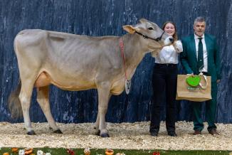 La vache Tisa et sa meneuse Elsa remportent le premier prix de section en catégorie 1B. Photo Xavier Ducordeaux