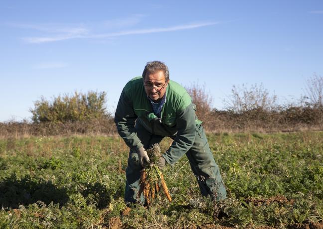 Etienne Prévot, éleveur de bovins et cultivateur de légumes biologiques à Sainte-Magnance (89) - Photo Région Bourgogne-Franche-Comté David Cesbron