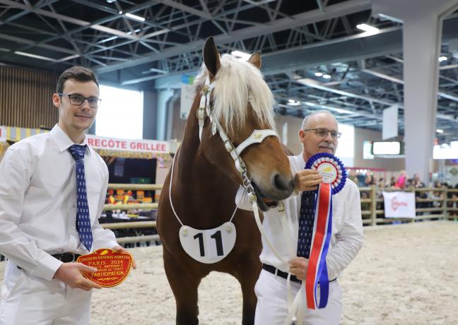 Concours des chevaux Comtois, mercredi 28 février 2024 au salon de l’Agriculture - Photo Océane Lavoustet