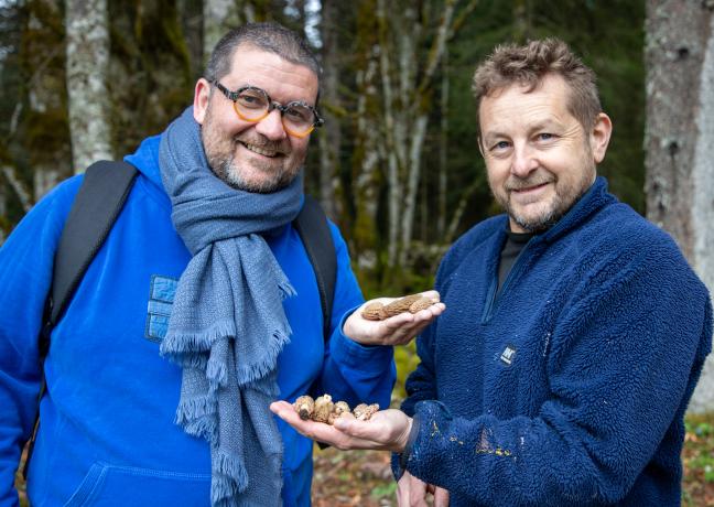 Cueillette des morilles dans le Haut-Doubs – Photo Emma Miskizak