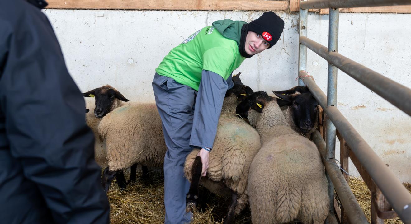 Noah Kaiser, vainqueur des Ovimpiades Franche-Comté 2025. Photo : Xavier Ducordeaux.