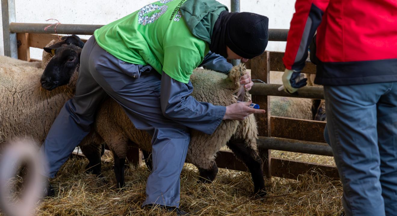 Noah Kaiser, vainqueur des Ovimpiades Franche-Comté 2025. Photo : Xavier Ducordeaux.